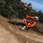 WhatsApp Image 2026-02-03 at 16.55.35 (1)